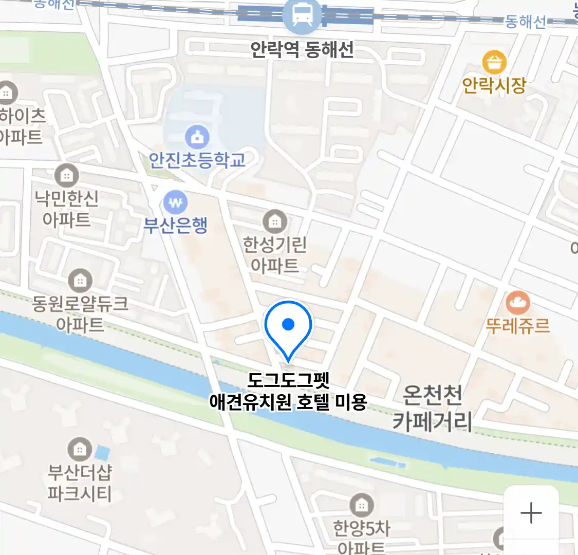 도그도그펫 애견유치원 호텔 미용