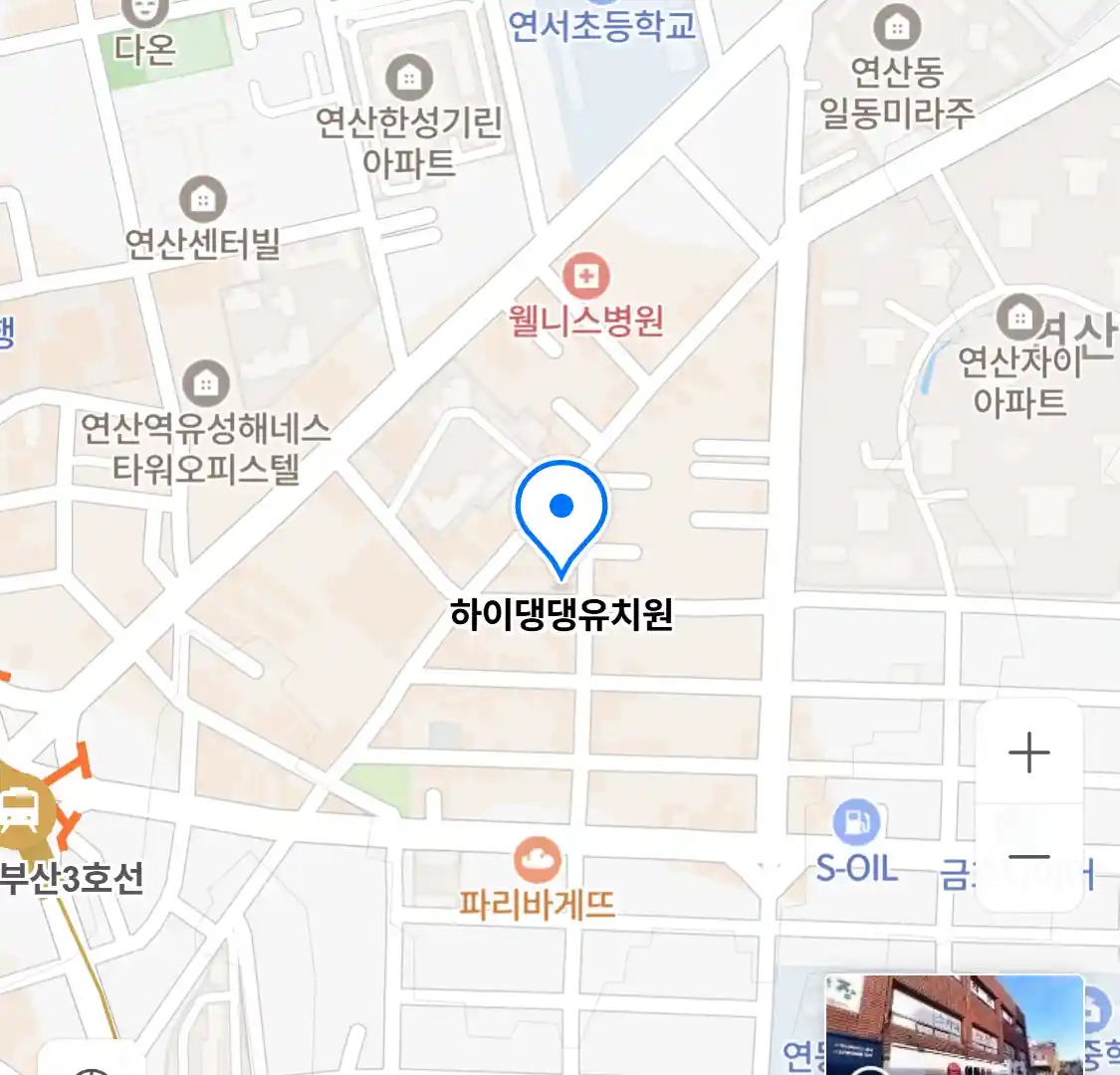 하이댕댕유치원