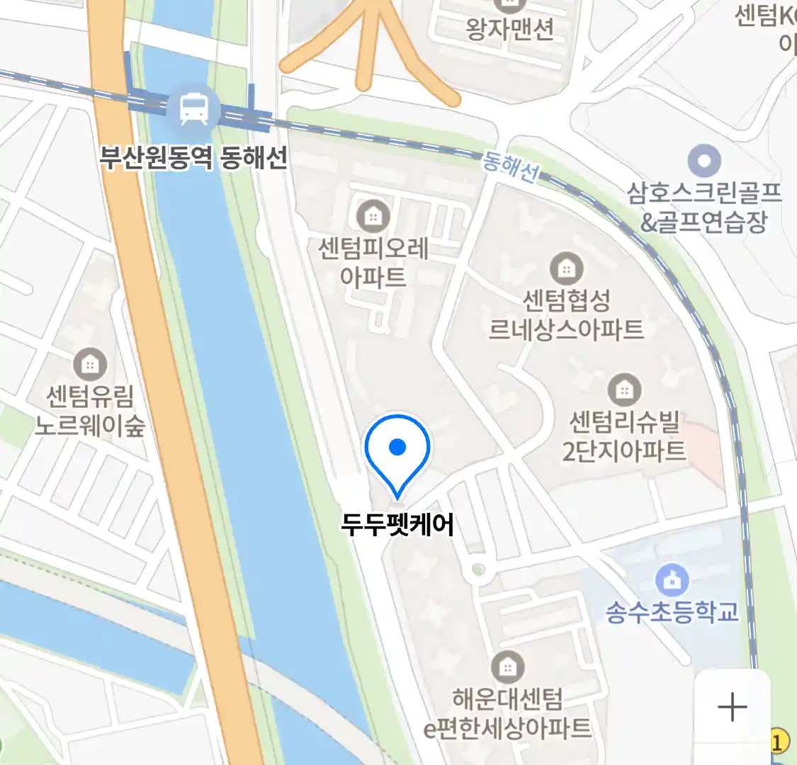 두두펫케어