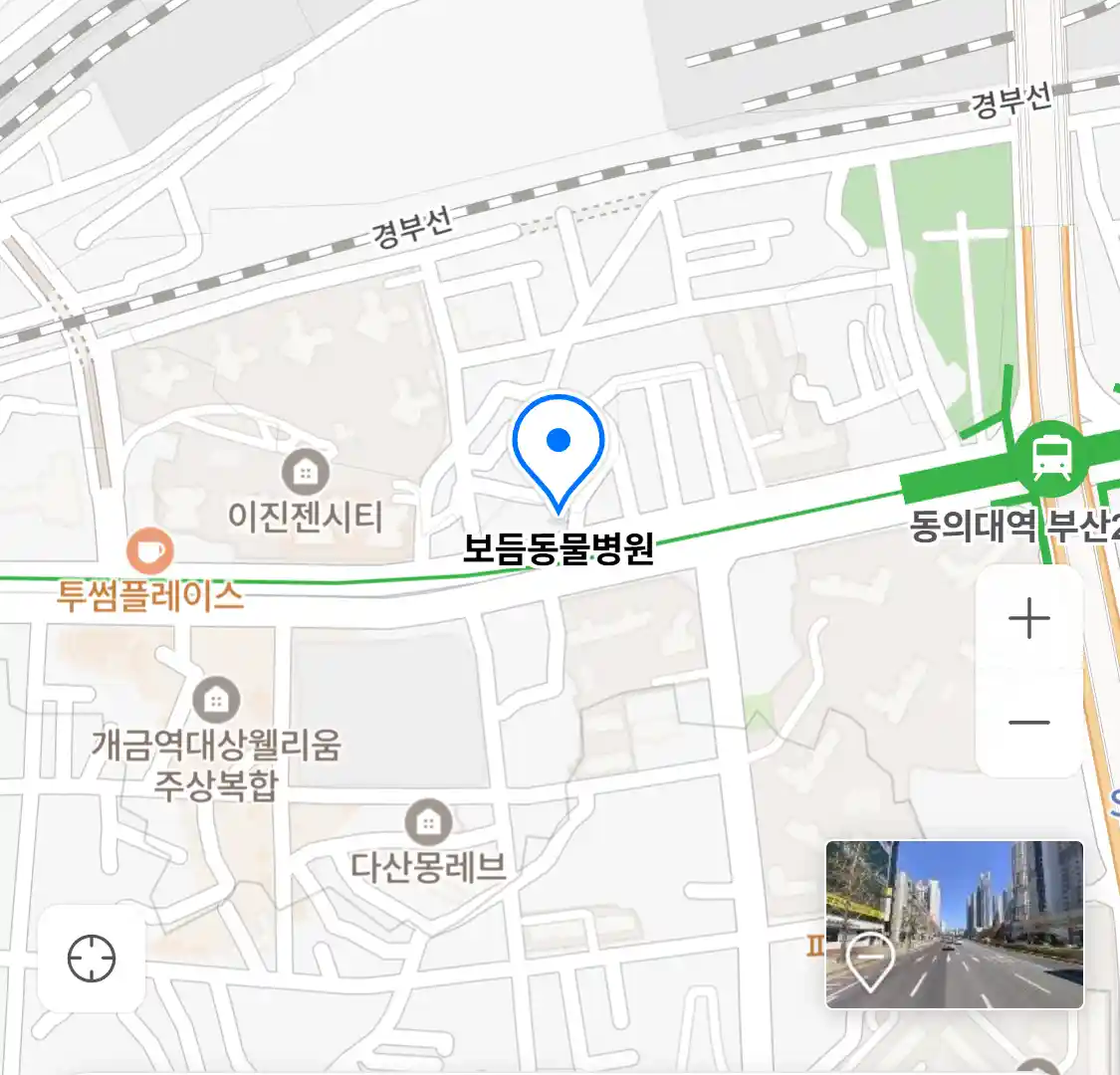 보듬동물병원