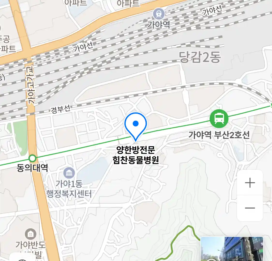 양한방전문 힘찬동물병원
