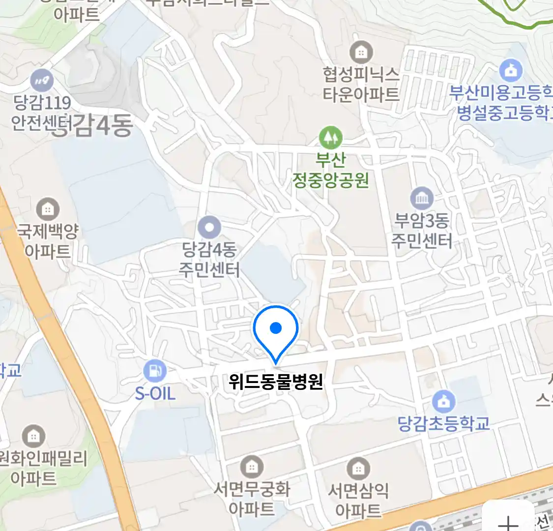 위드동물병원