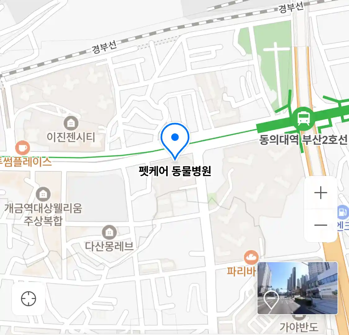 펫케어 동물병원
