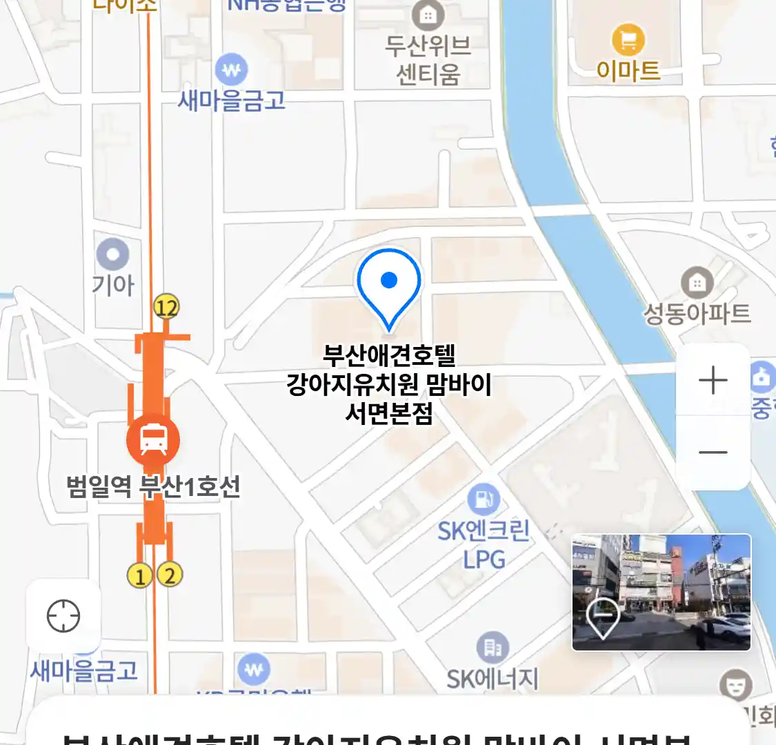 부산애견호텔 강아지유치원 맘바이 서면본점