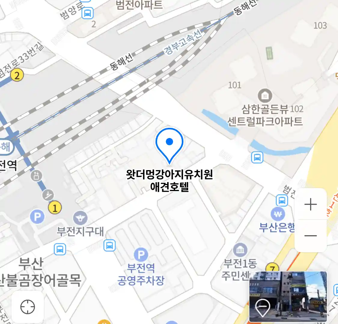왓더멍강아지유치원 애견호텔