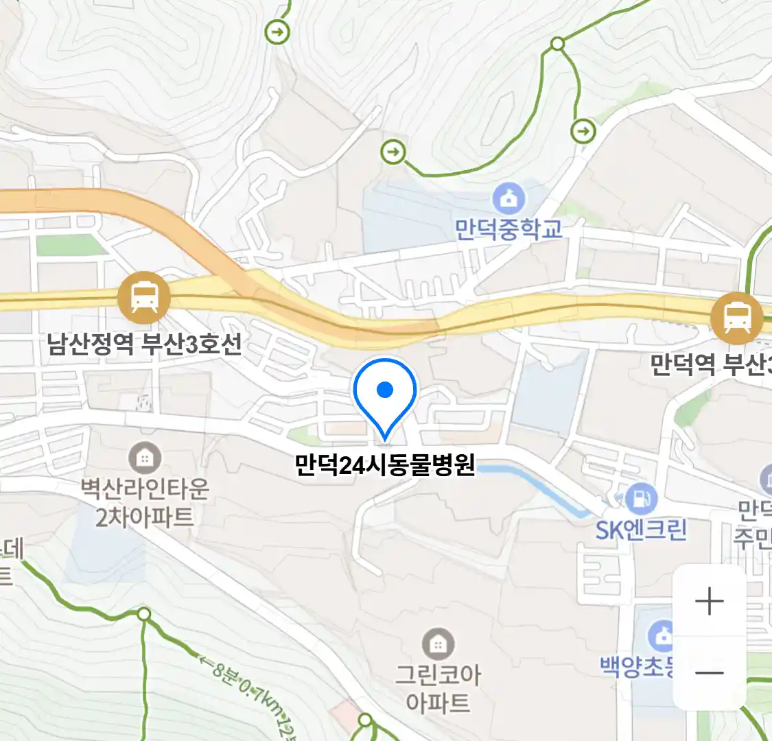 만덕24시동물병원