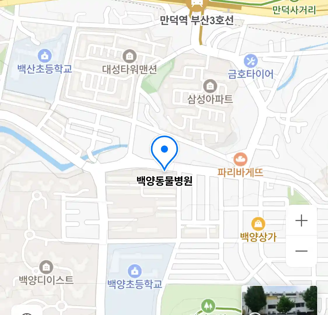 백양동물병원