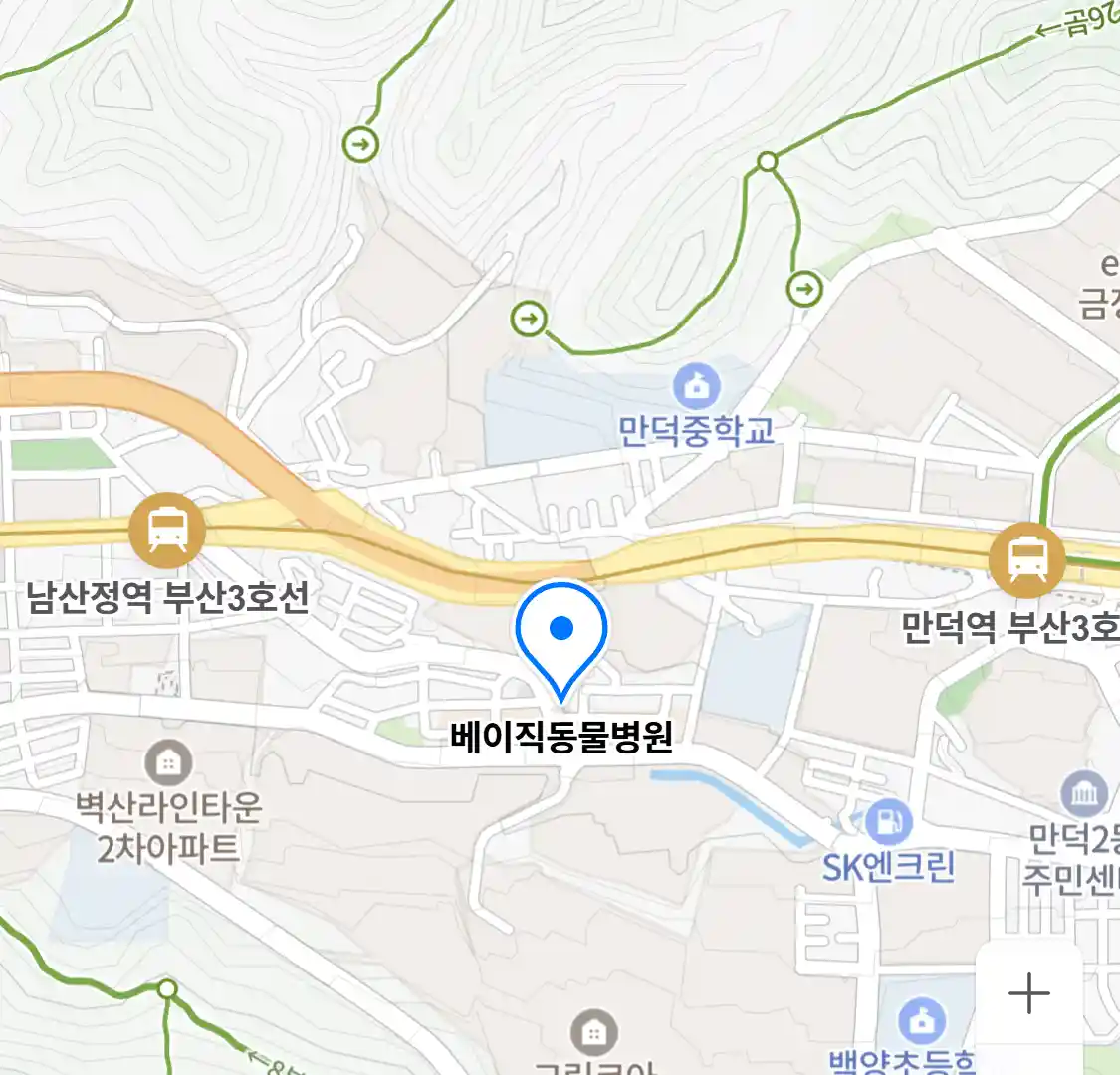 베이직동물병원