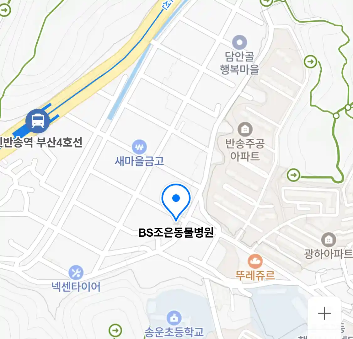 BS조은동물병원