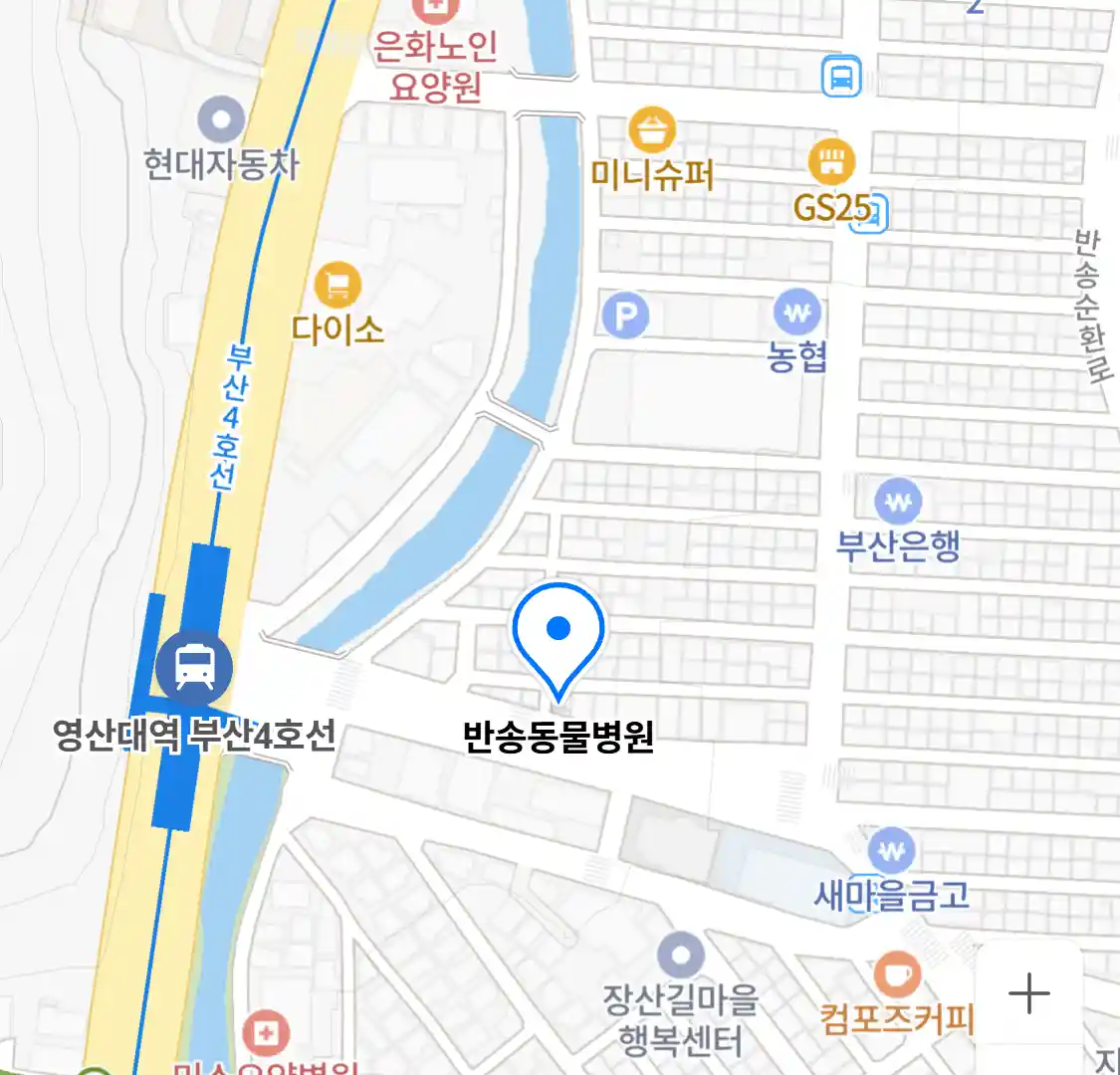 반송동물병원