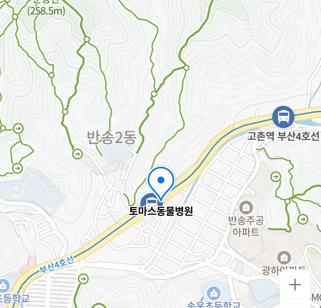 토마스동물병원