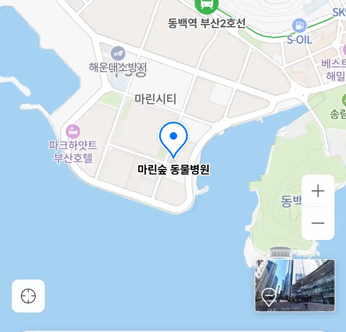 마린숲 동물병원