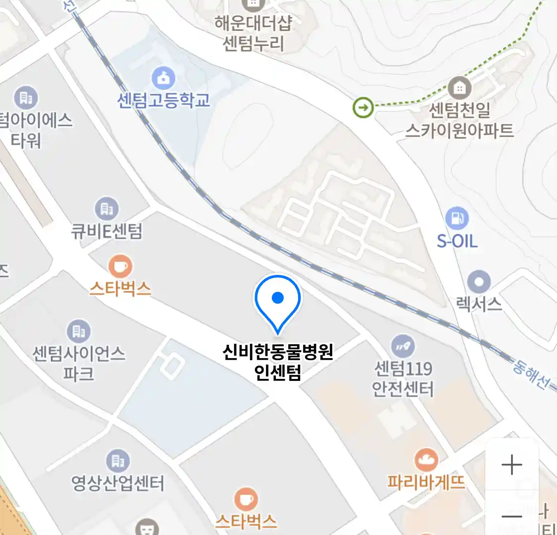신비한동물병원 인센텀
