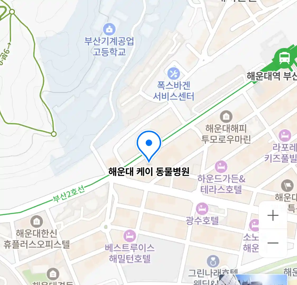 해운대 케이 동물병원