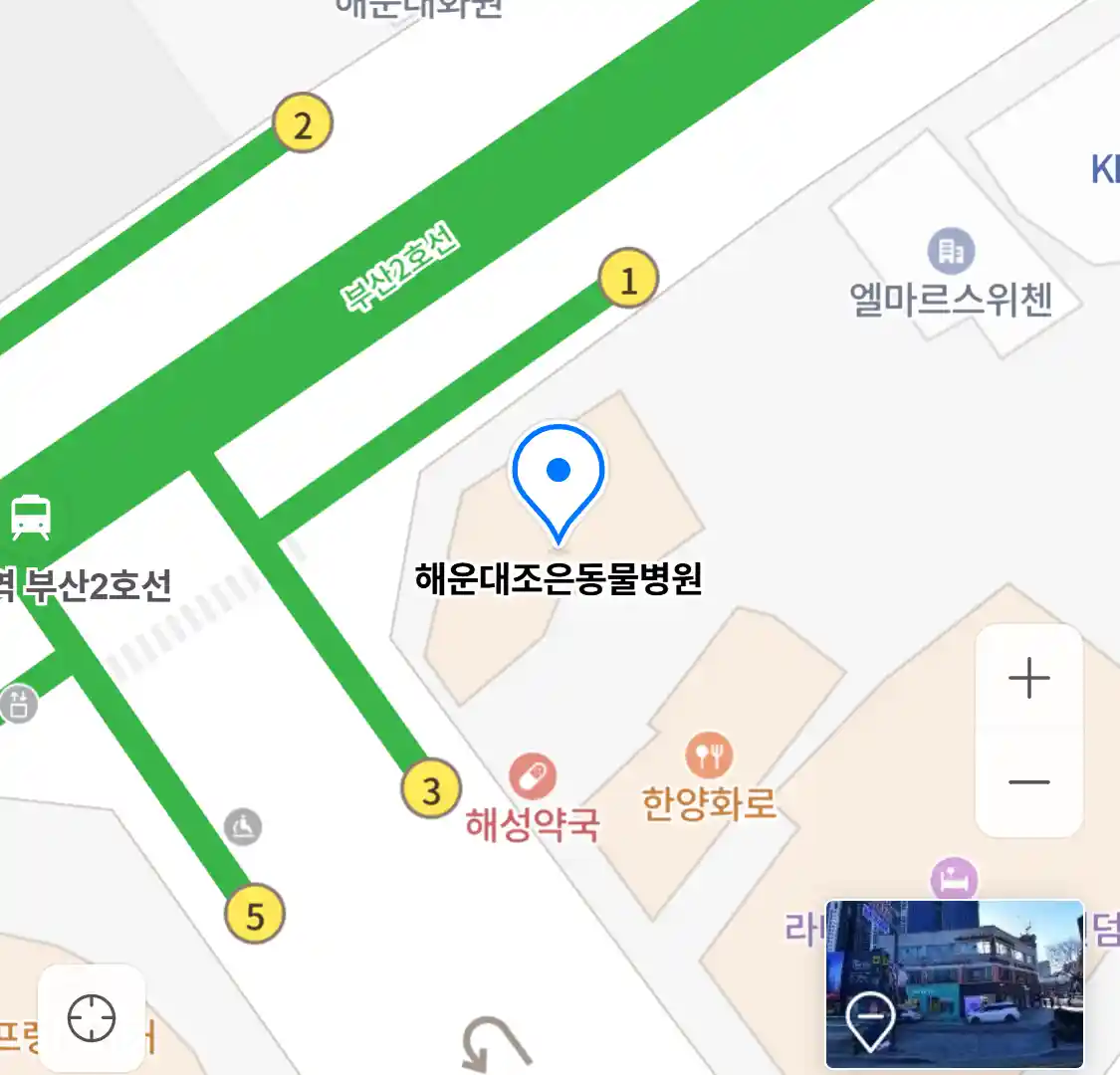 해운대조은동물병원