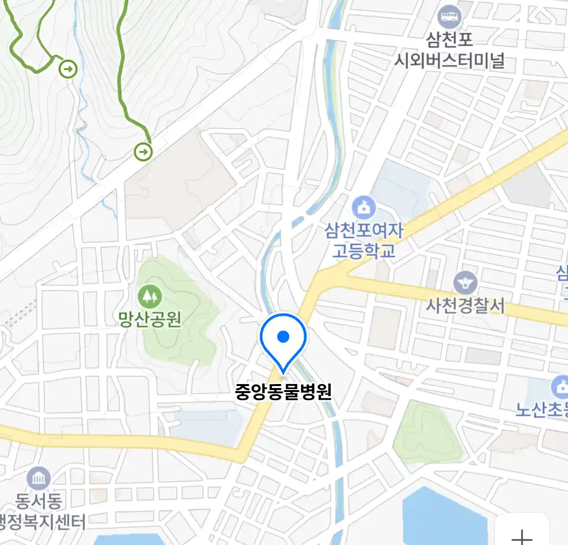 중앙동물병원