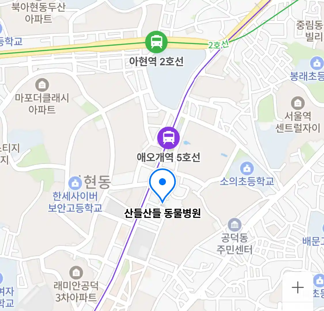 산들산들 동물병원