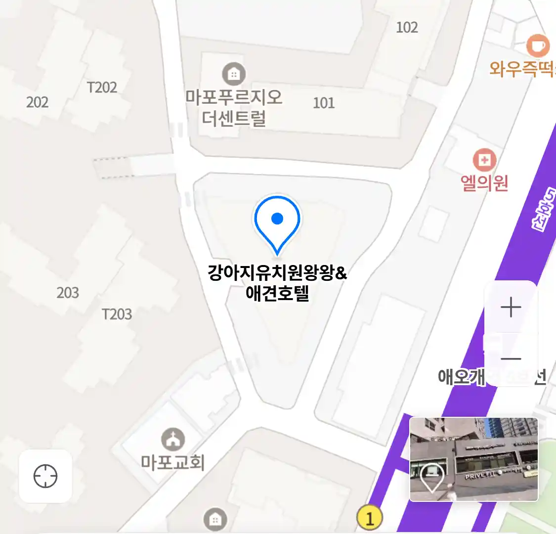강아지유치원왕왕&애견호텔