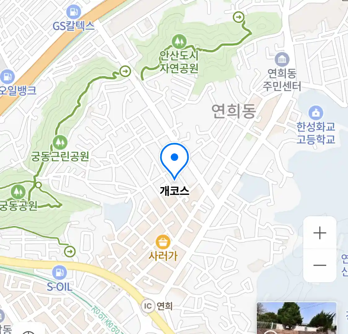 개코스