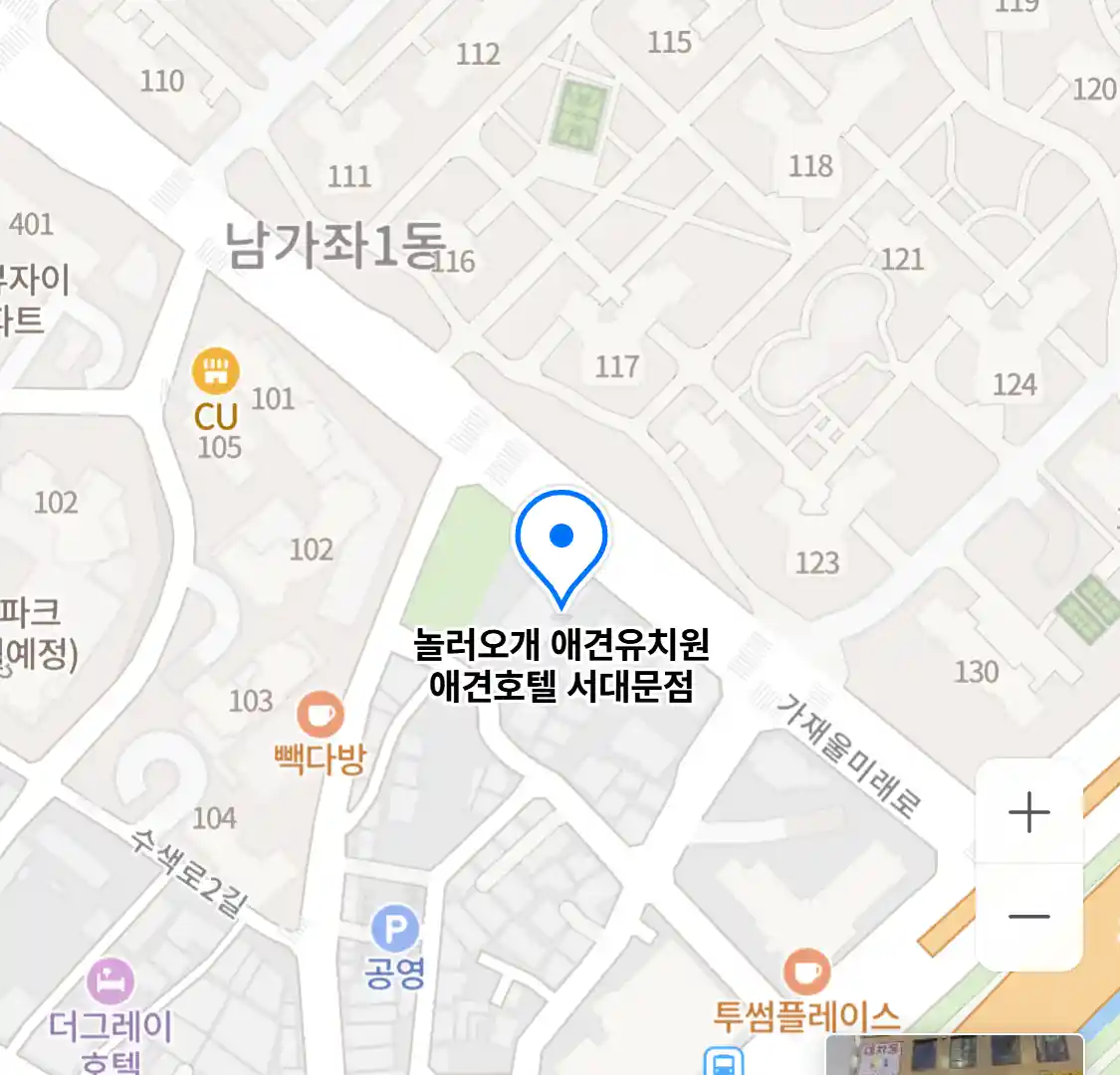 놀러오개 애견유치원 애견호텔 서대문점