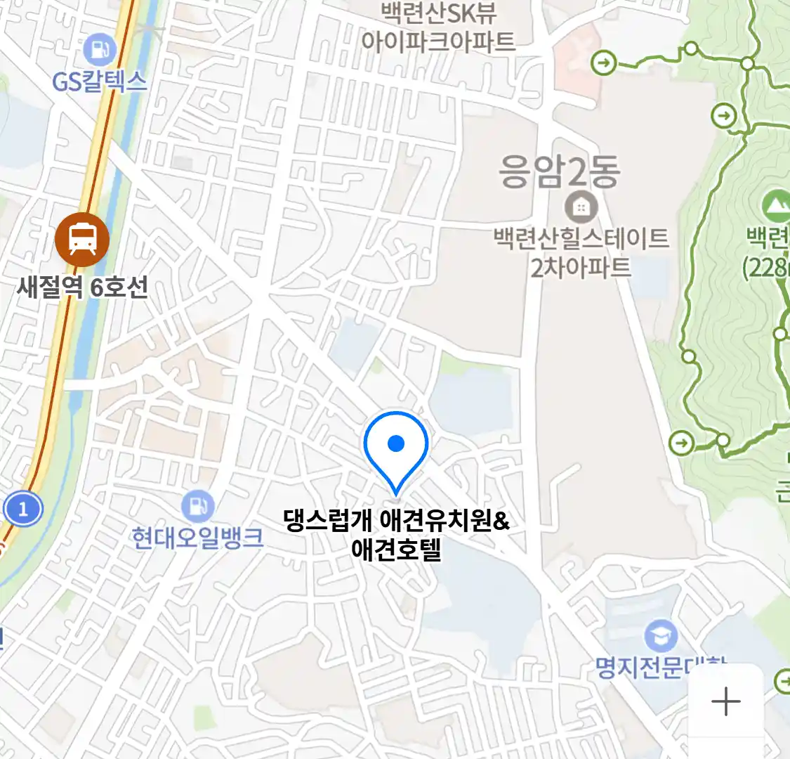 댕스럽개 애견유치원&애견호텔