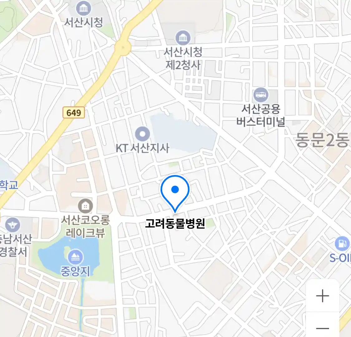 고려동물병원