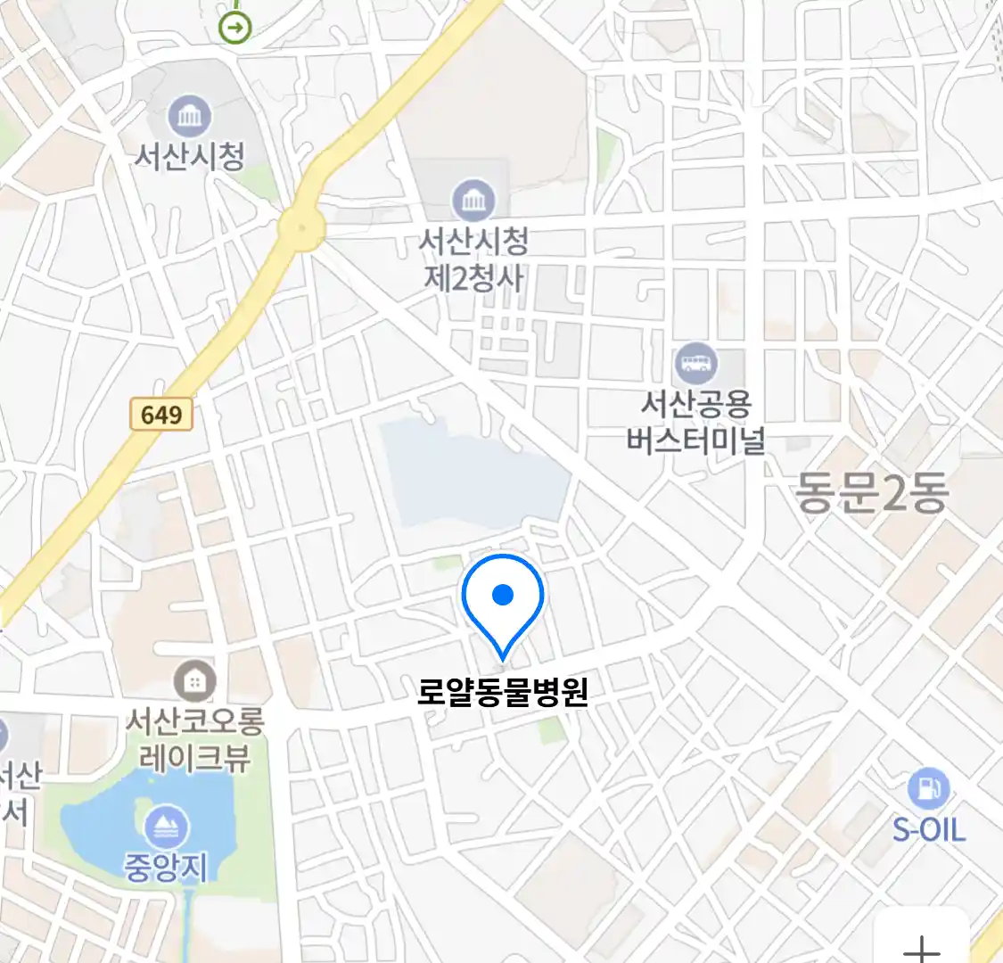 로얄동물병원