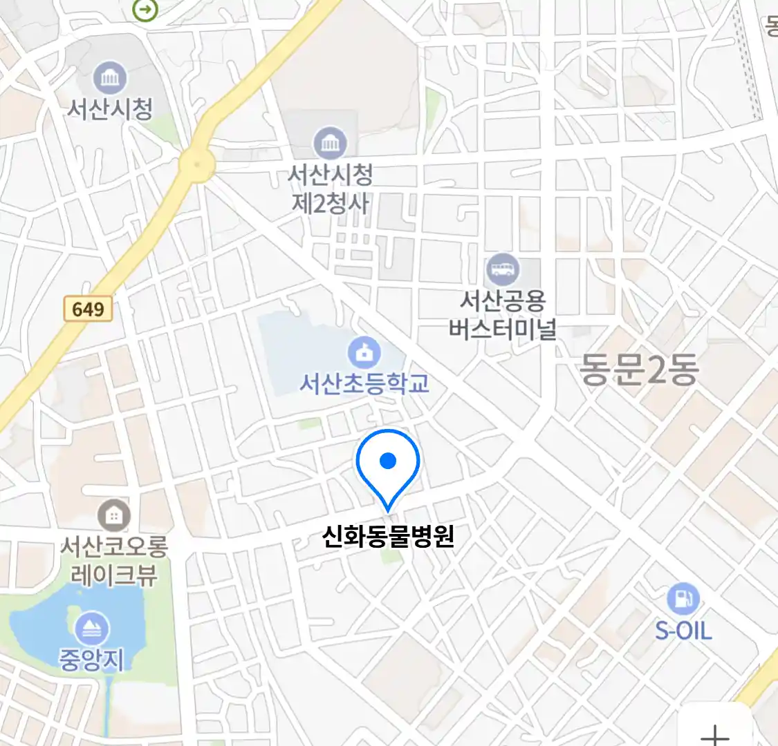 신화동물병원