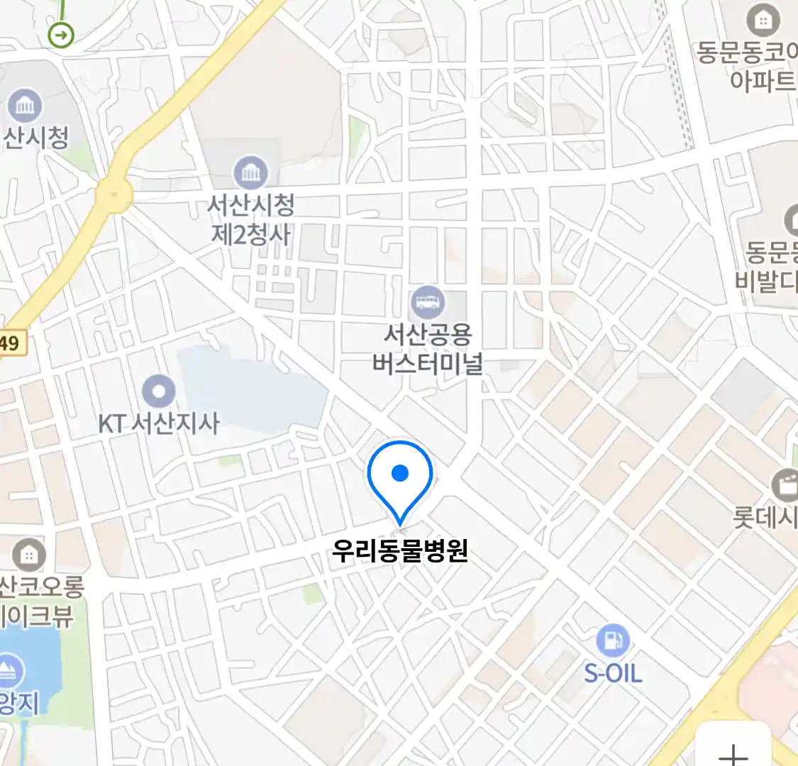 우리동물병원
