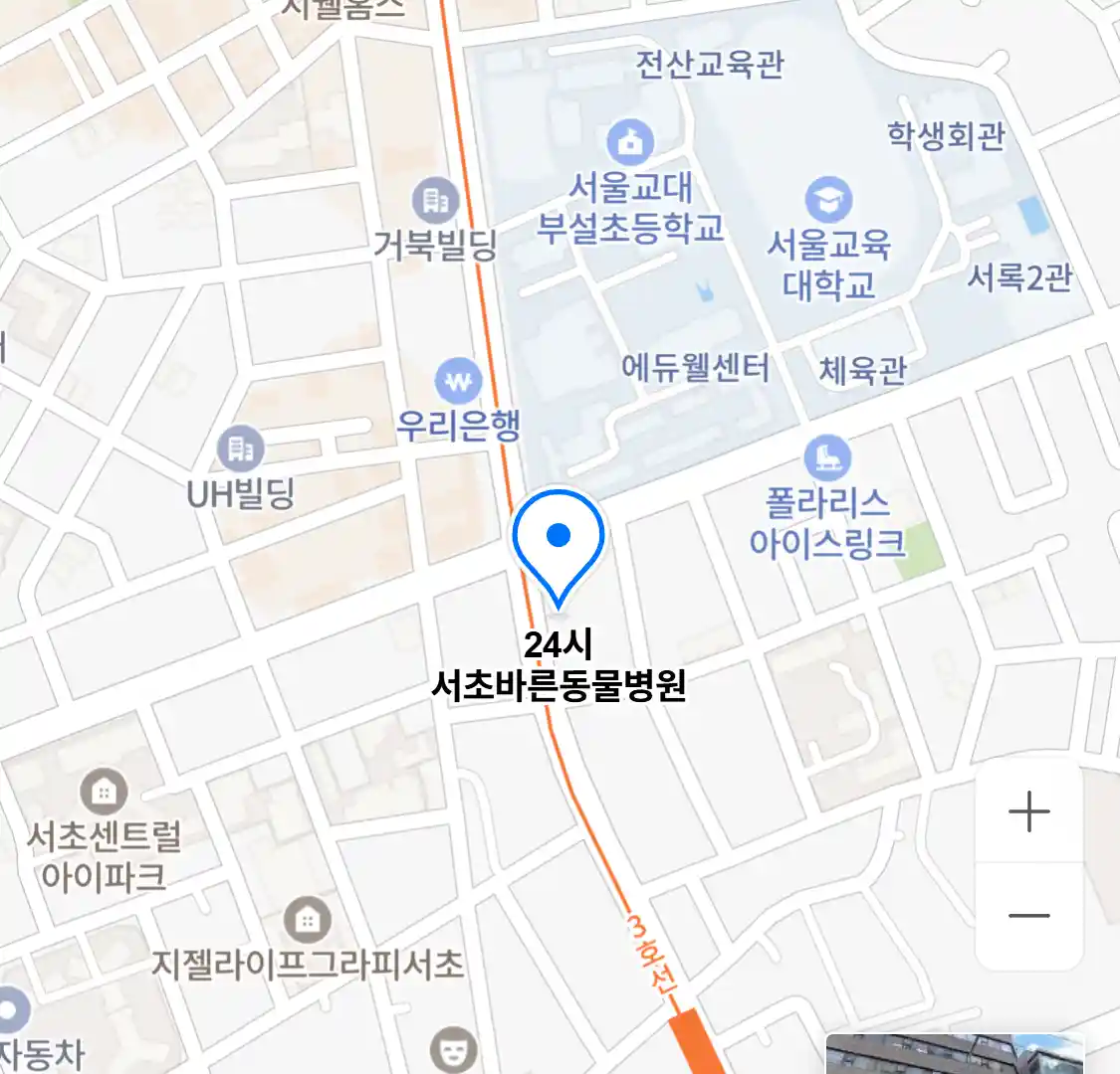 24시 서초바른동물병원