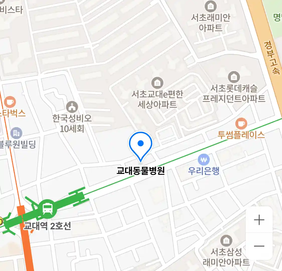 교대동물병원