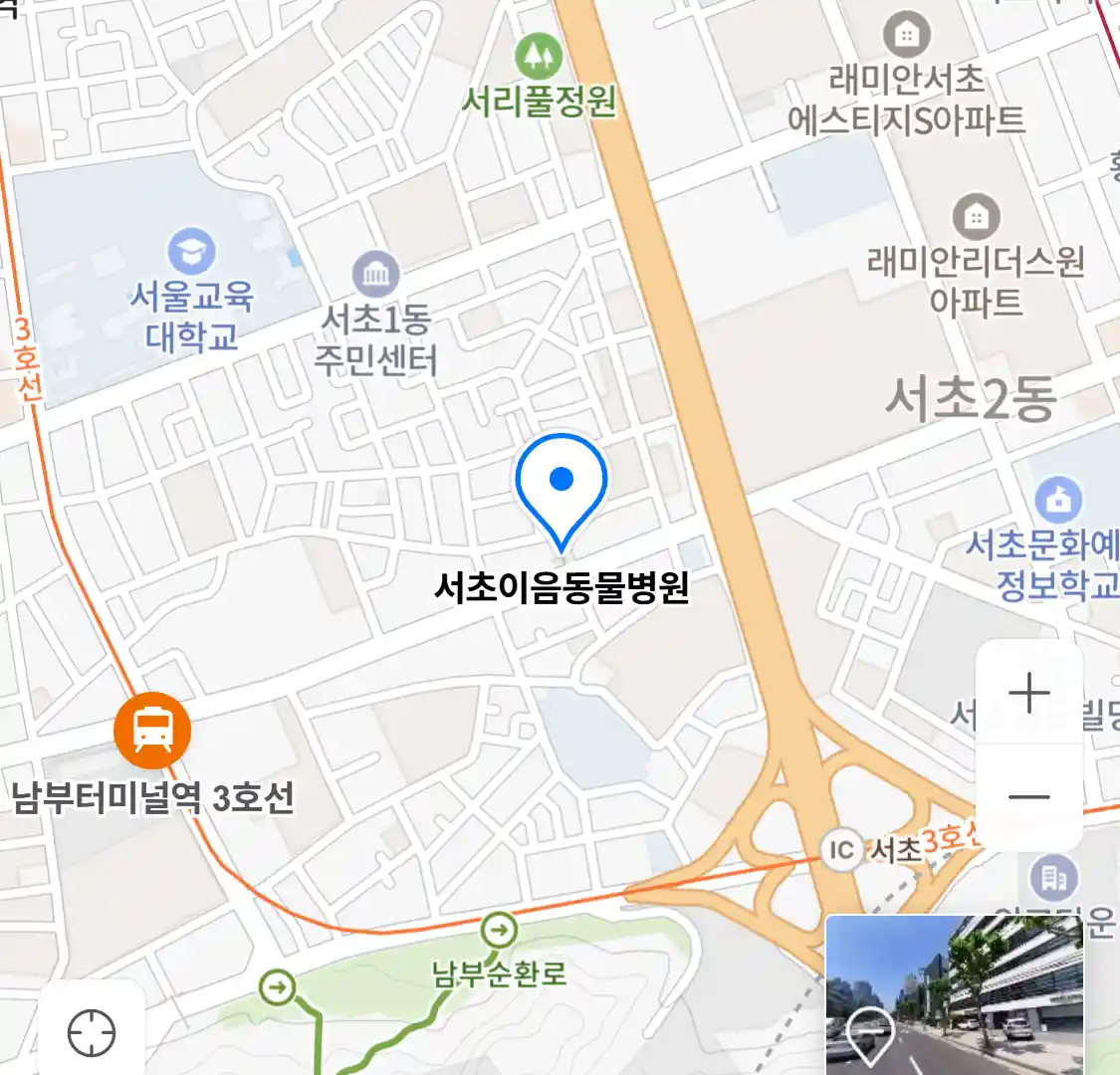 서초이음동물병원