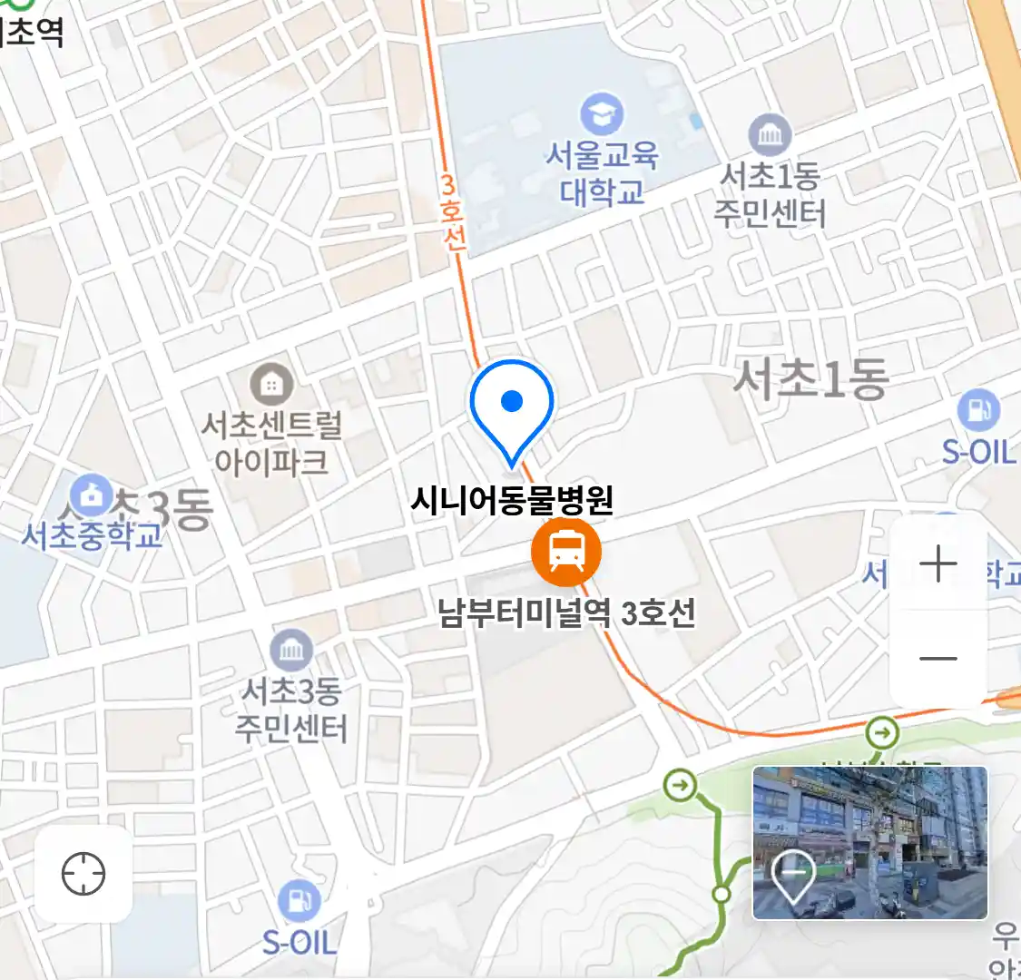 시니어동물병원