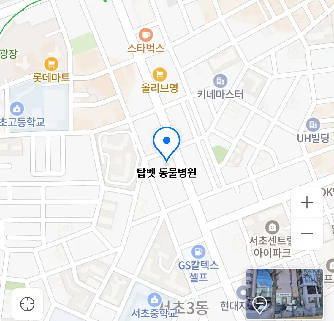 탑벳 동물병원