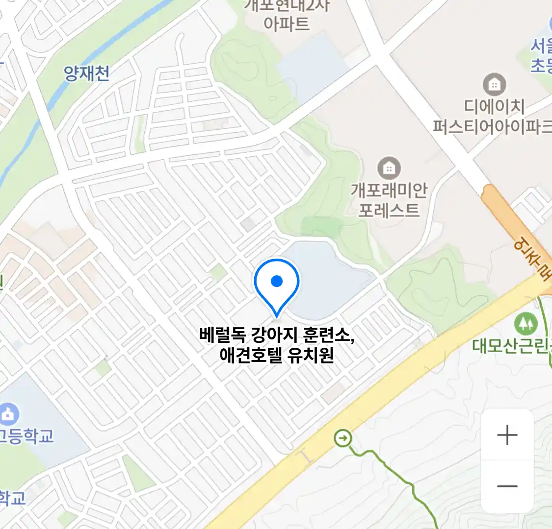 베럴독 강아지 훈련소,애견호텔 유치원