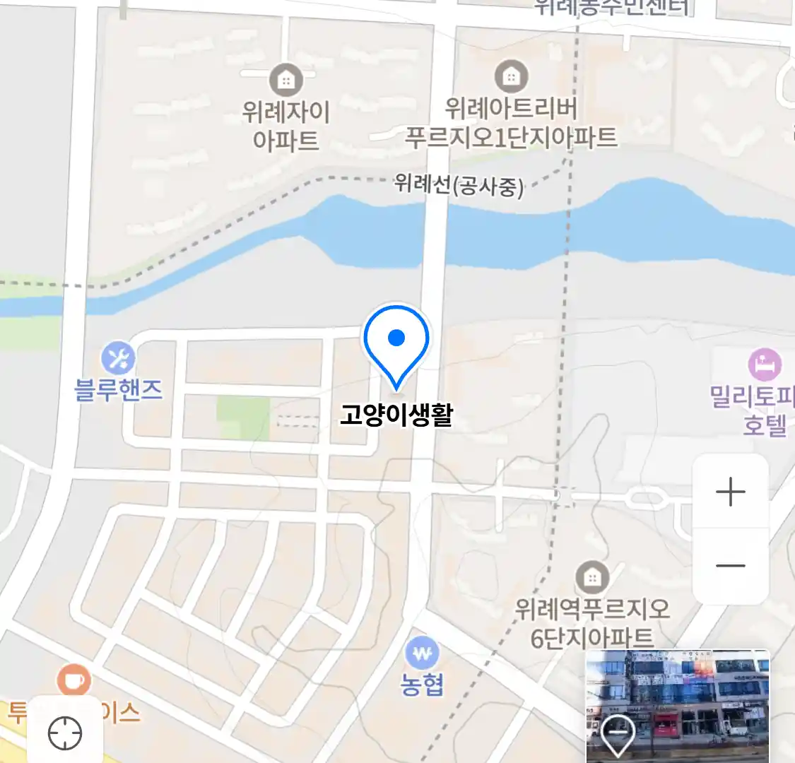 고양이생활