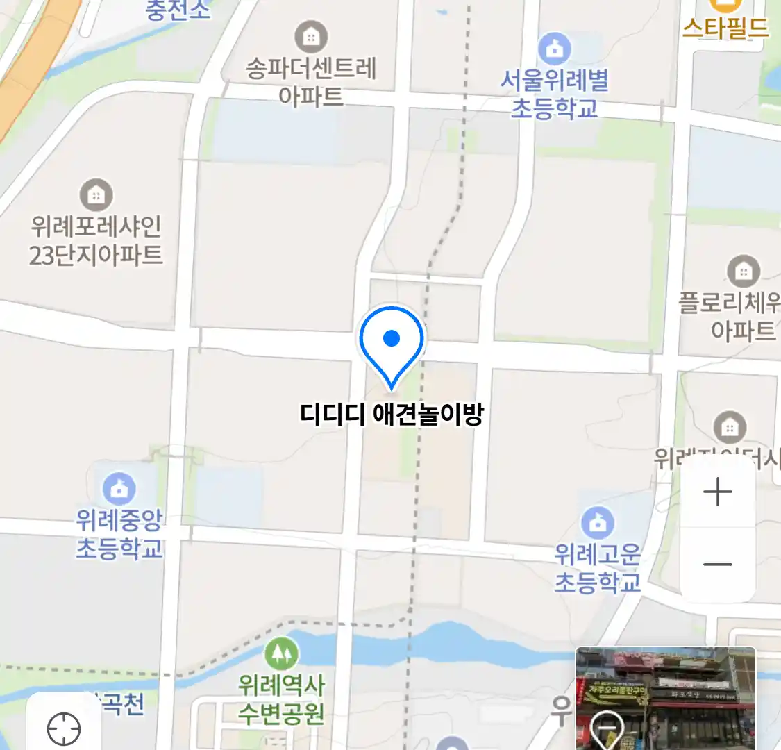 디디디 애견놀이방