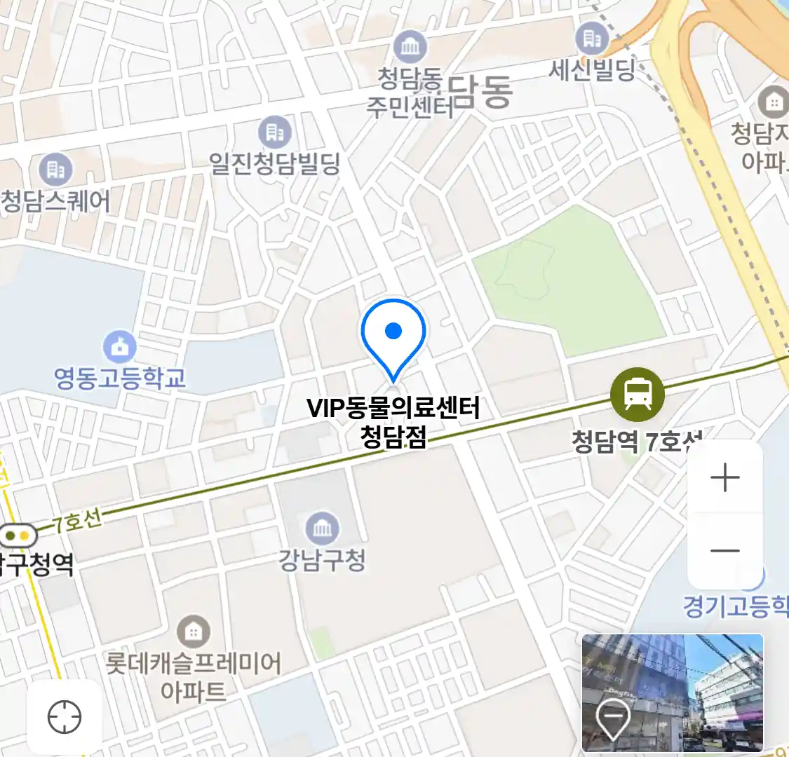 VIP동물의료센터 청담점