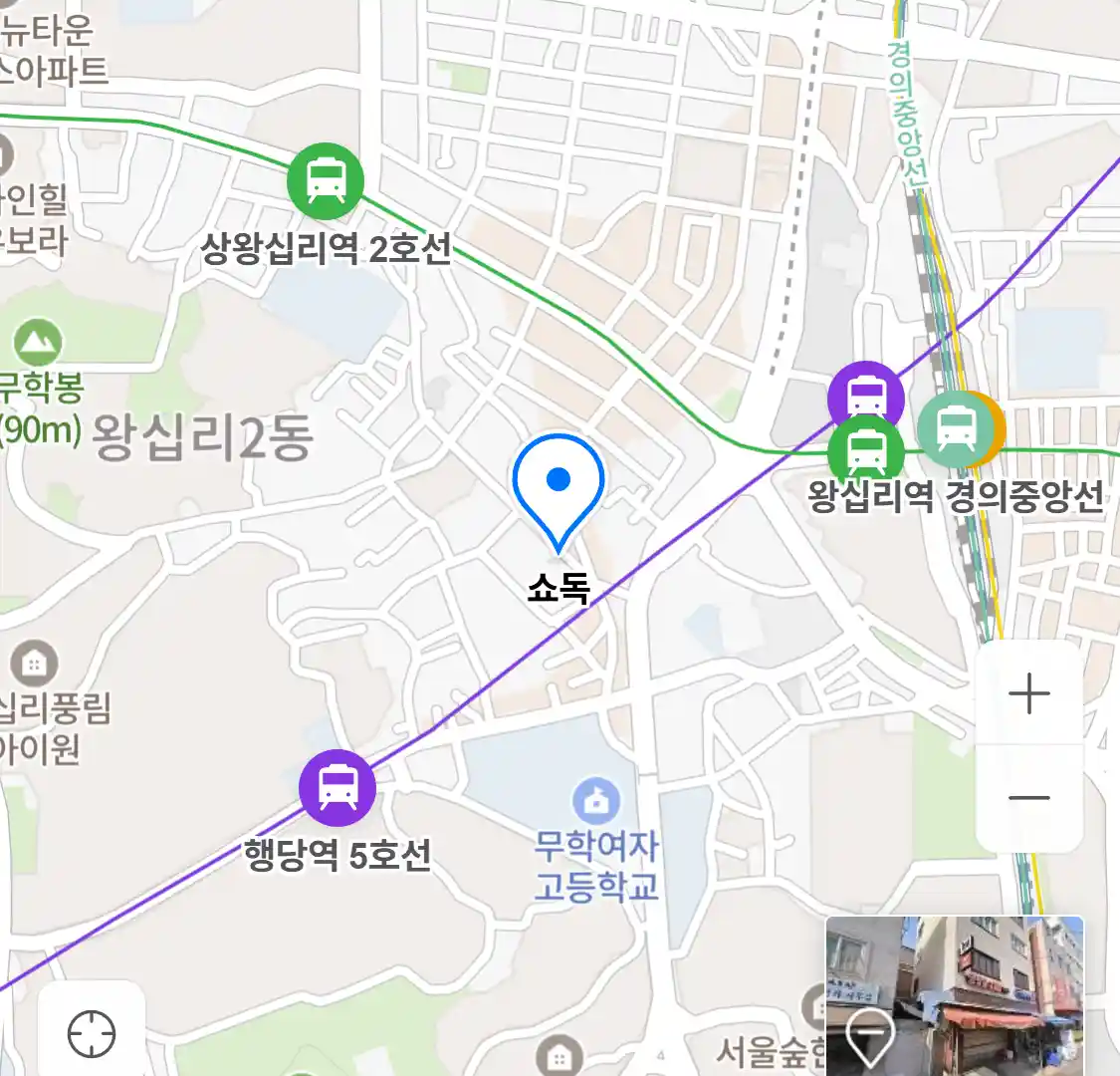 쇼독