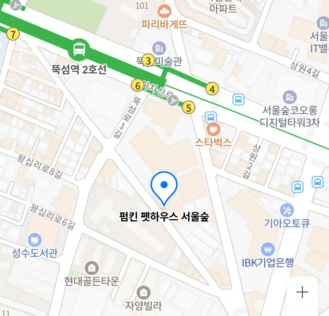 펌킨 펫하우스 서울숲