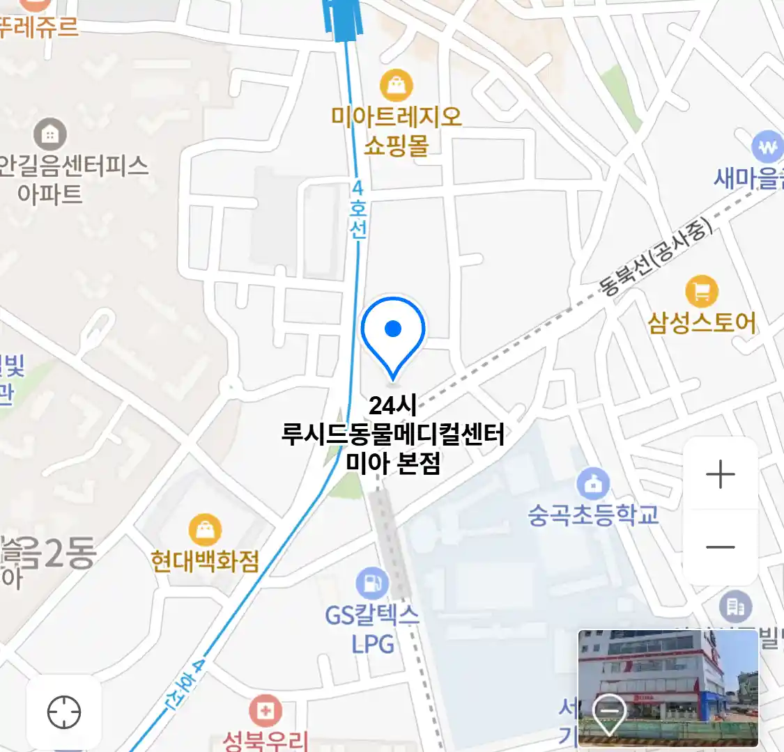 24시 루시드동물메디컬센터 미아 본점