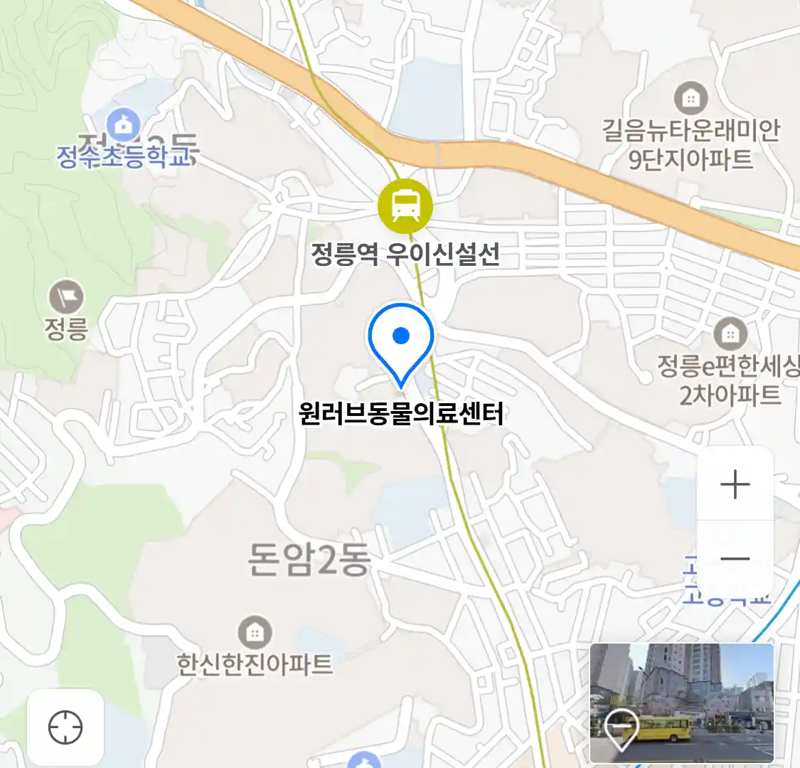 원러브동물의료센터