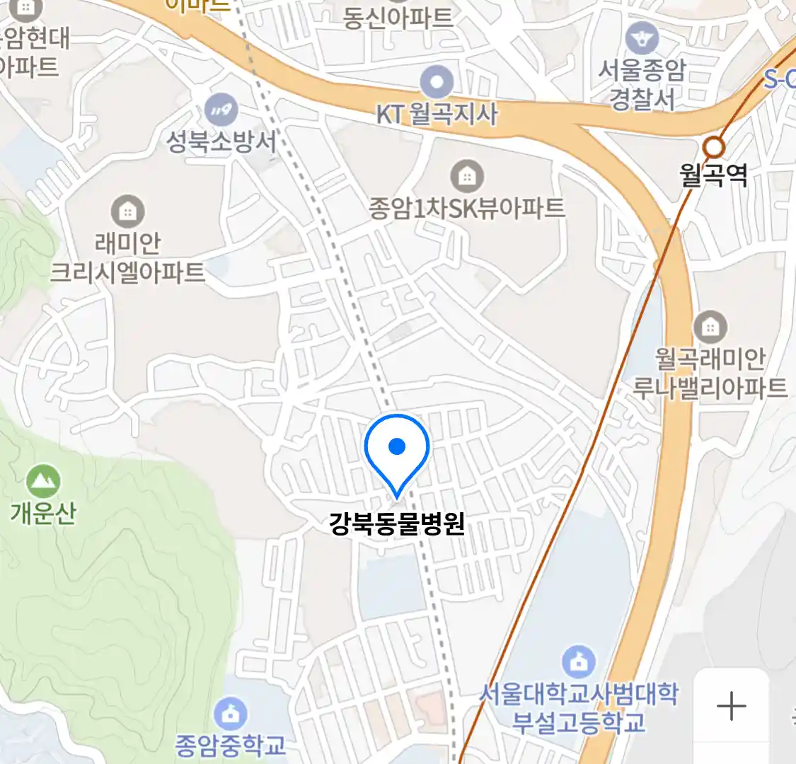 강북동물병원