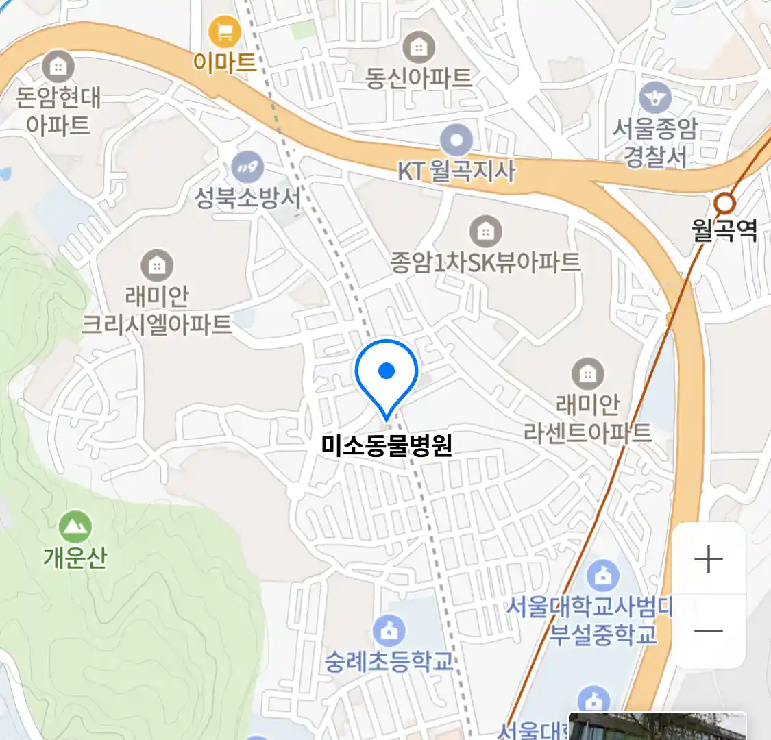 미소동물병원