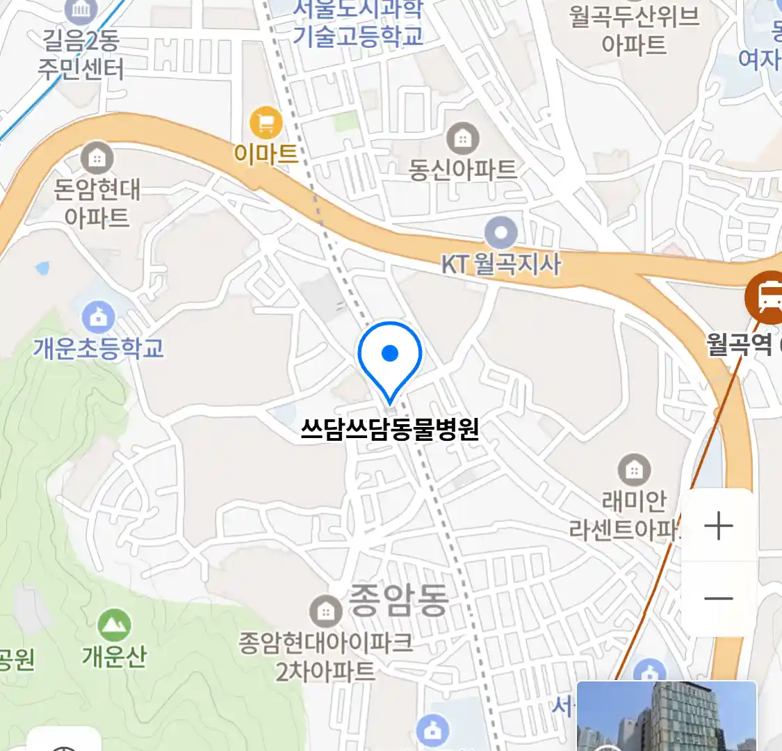 쓰담쓰담동물병원