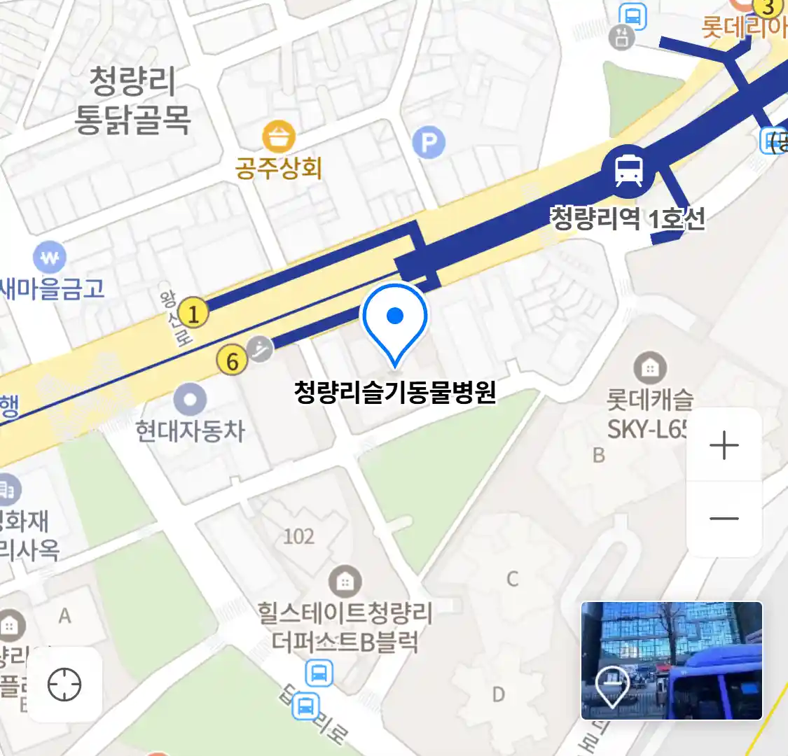 청량리슬기동물병원