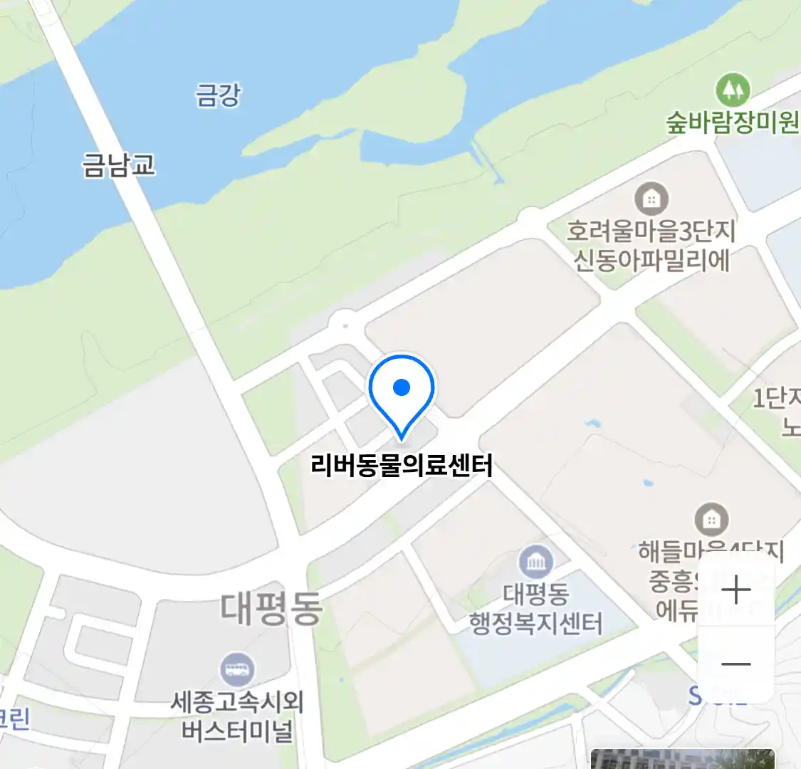 리버동물의료센터