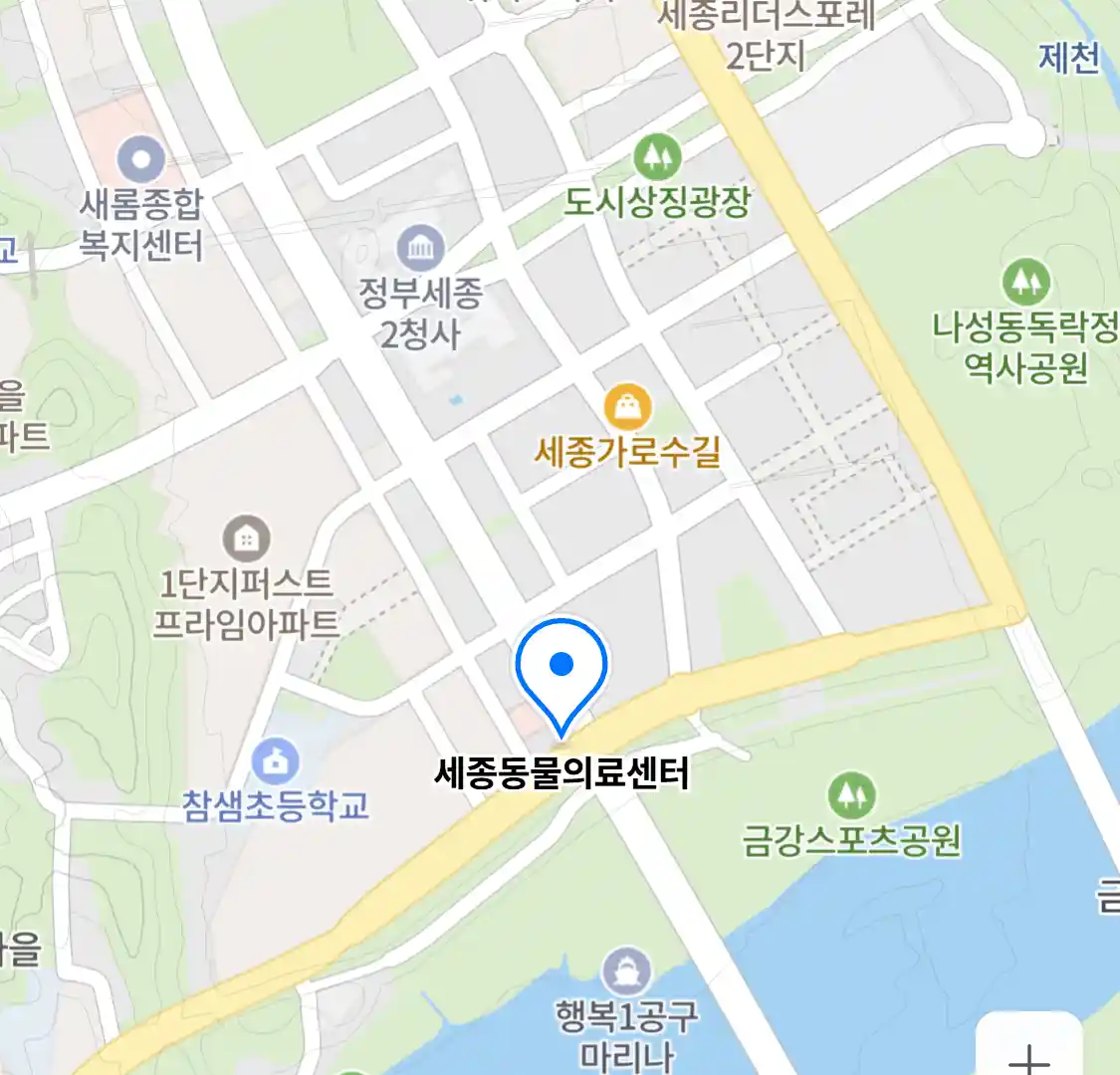 세종동물의료센터