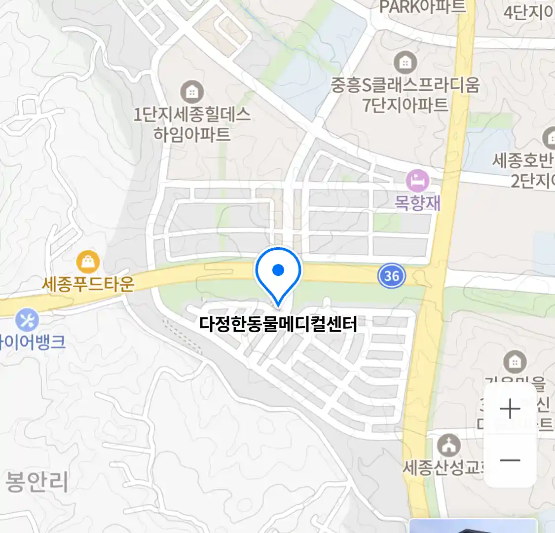 다정한동물메디컬센터