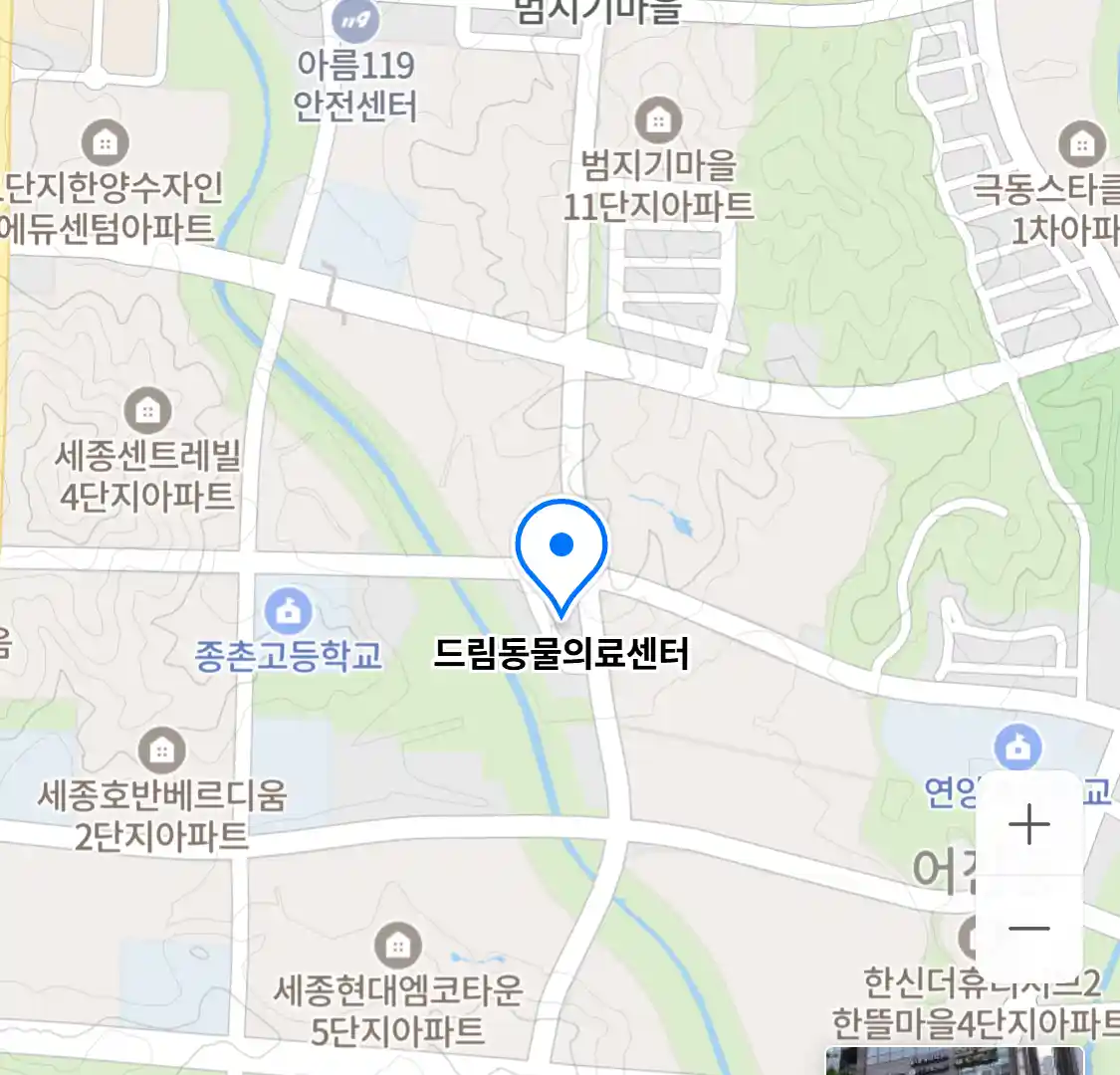 드림동물의료센터